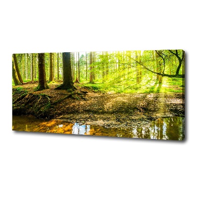 Canvas wall art Rays of the sun forest