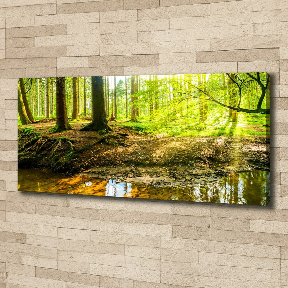 Canvas wall art Rays of the sun forest