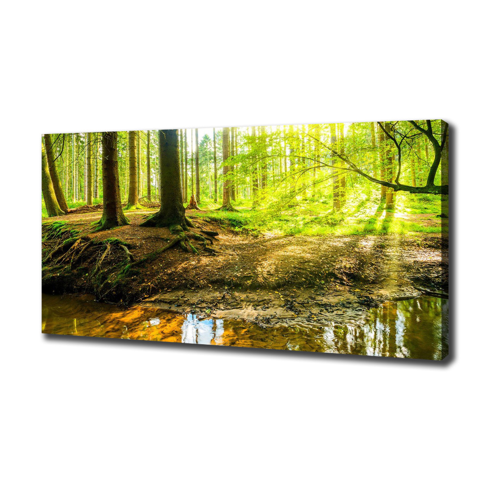 Canvas wall art Rays of the sun forest