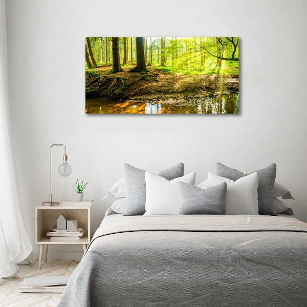 Canvas wall art Rays of the sun forest