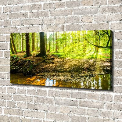 Canvas wall art Rays of the sun forest