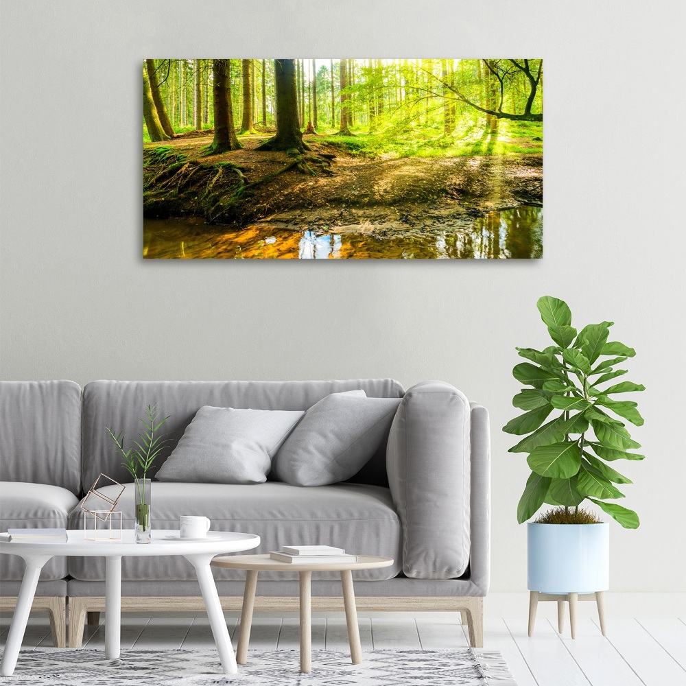 Canvas wall art Rays of the sun forest