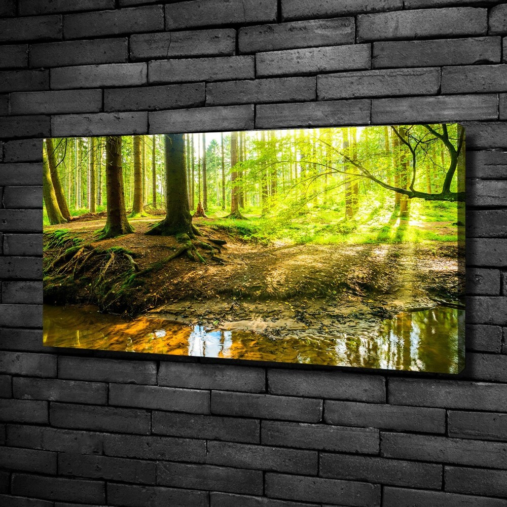 Canvas wall art Rays of the sun forest