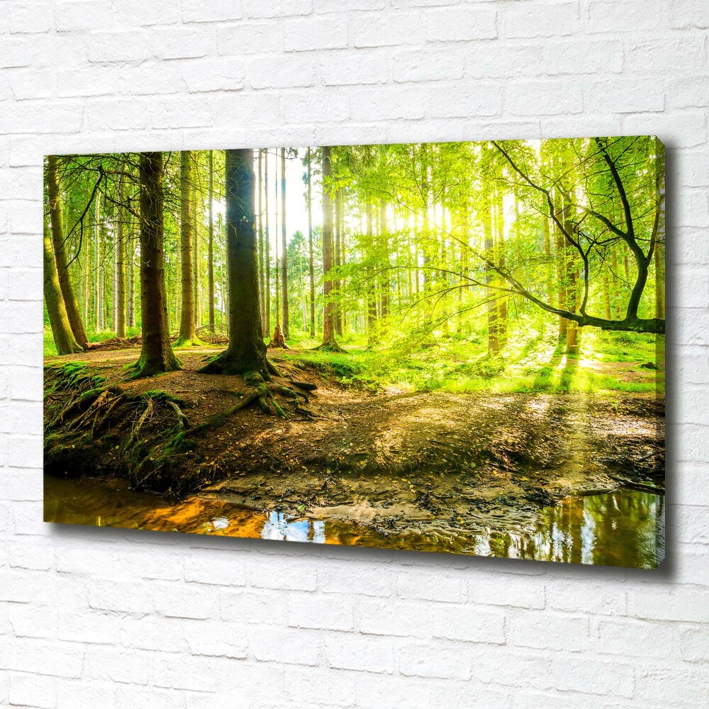 Canvas wall art Rays of the sun forest