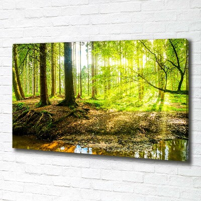 Canvas wall art Rays of the sun forest