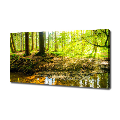 Canvas wall art Rays of the sun forest