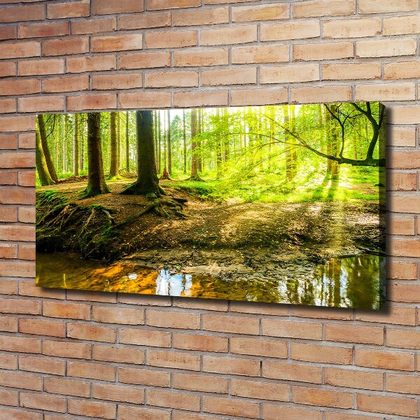 Canvas wall art Rays of the sun forest