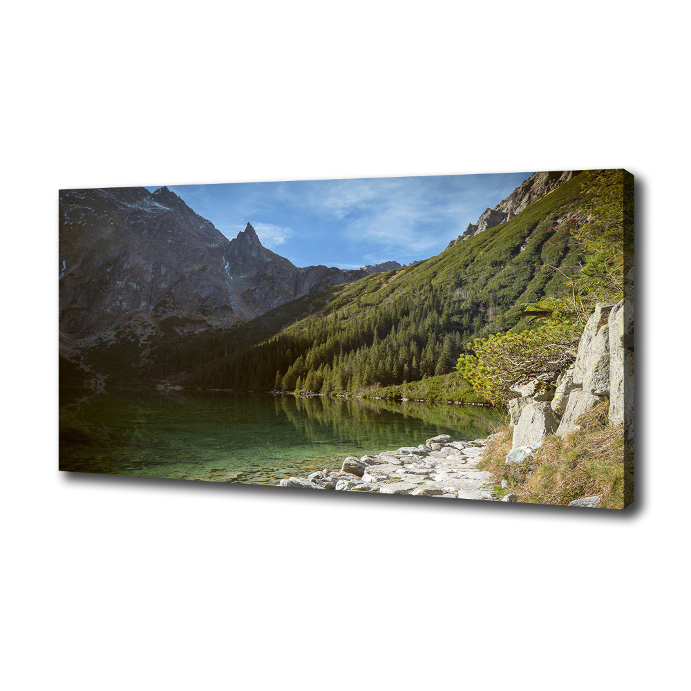 Canvas wall art Morskie Oko Tatry