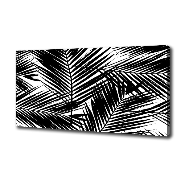 Palm leaves