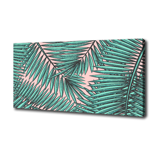 Palm leaves