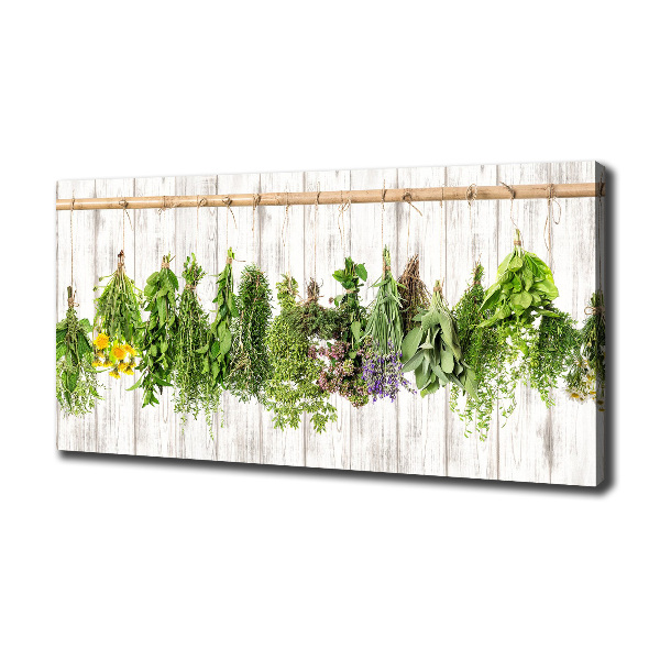 Canvas wall art Herbs on a string