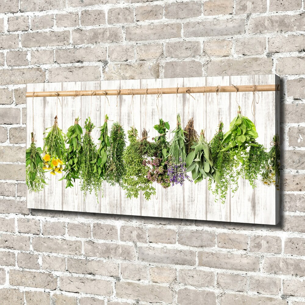 Canvas wall art Herbs on a string