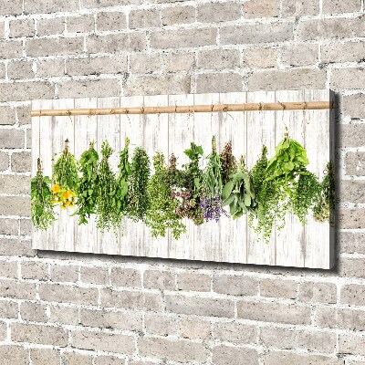 Canvas wall art Herbs on a string