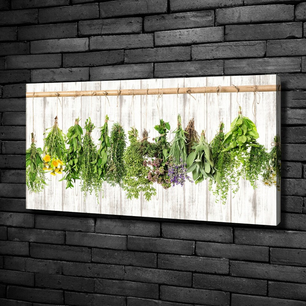 Canvas wall art Herbs on a string