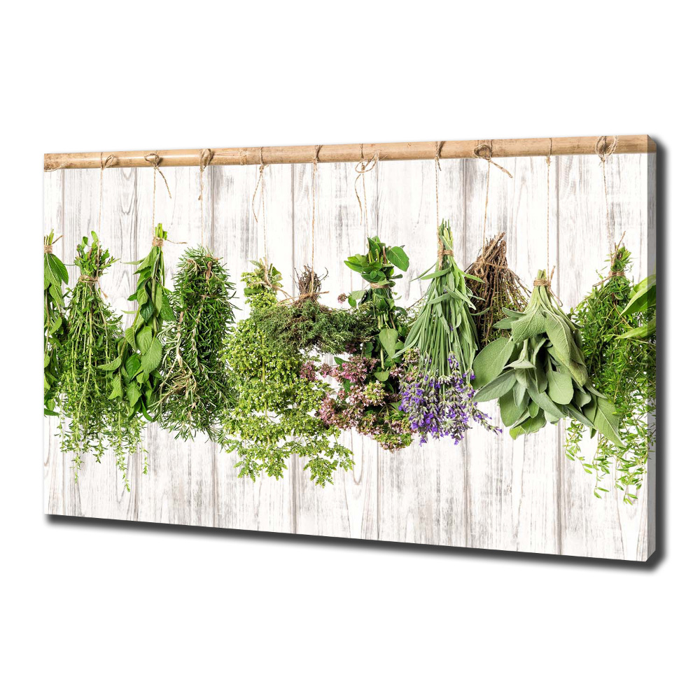 Canvas wall art Herbs on a string