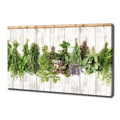 Canvas wall art Herbs on a string