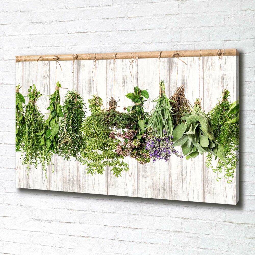 Canvas wall art Herbs on a string