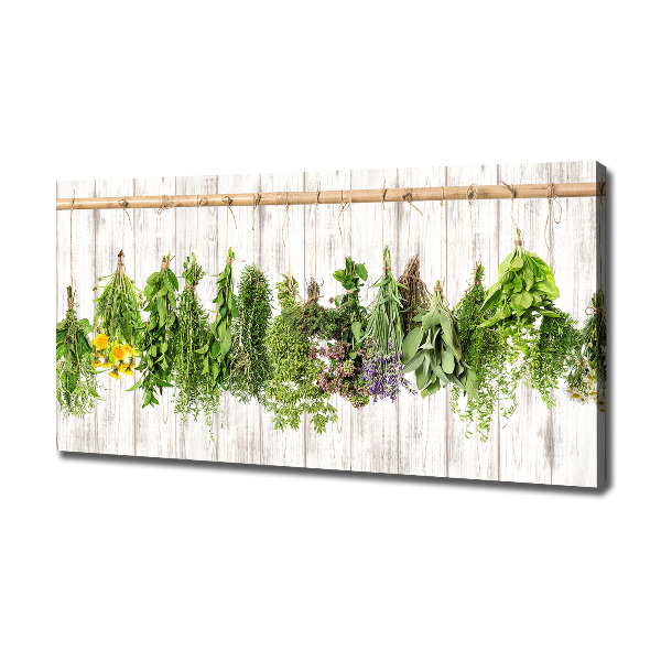 Canvas wall art Herbs on a string