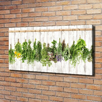 Canvas wall art Herbs on a string