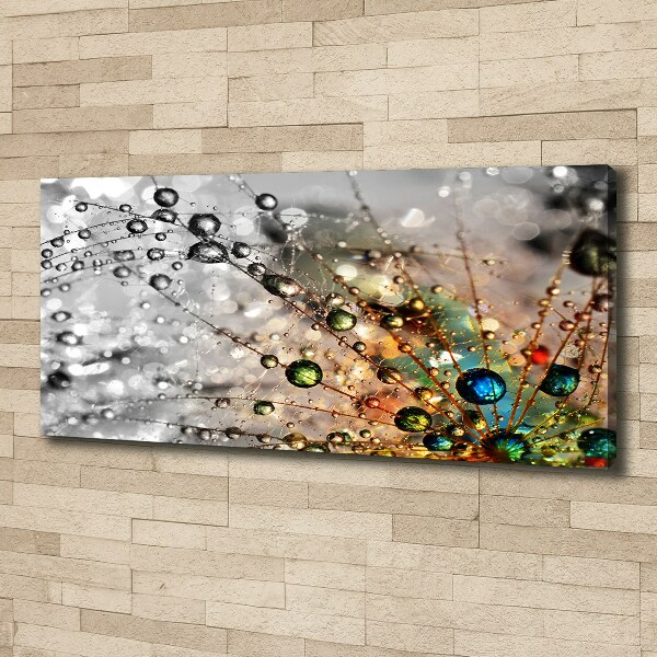 Canvas wall art Dandelion seeds