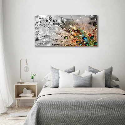 Canvas wall art Dandelion seeds