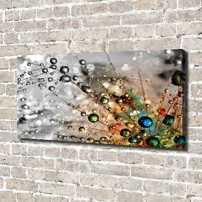 Canvas wall art Dandelion seeds