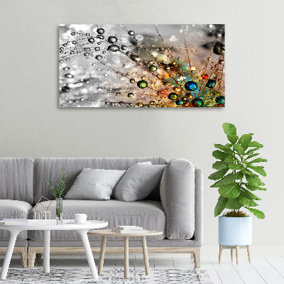 Canvas wall art Dandelion seeds