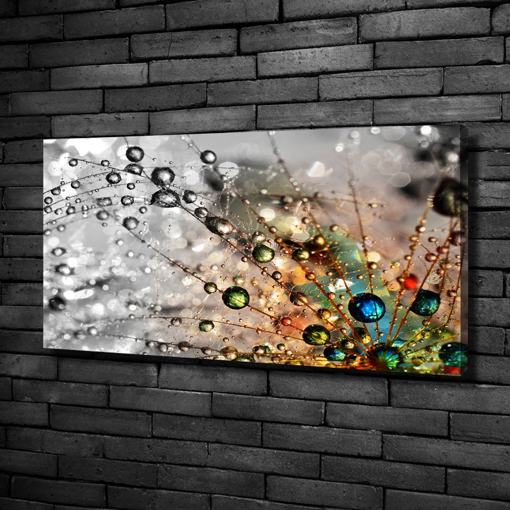 Canvas wall art Dandelion seeds