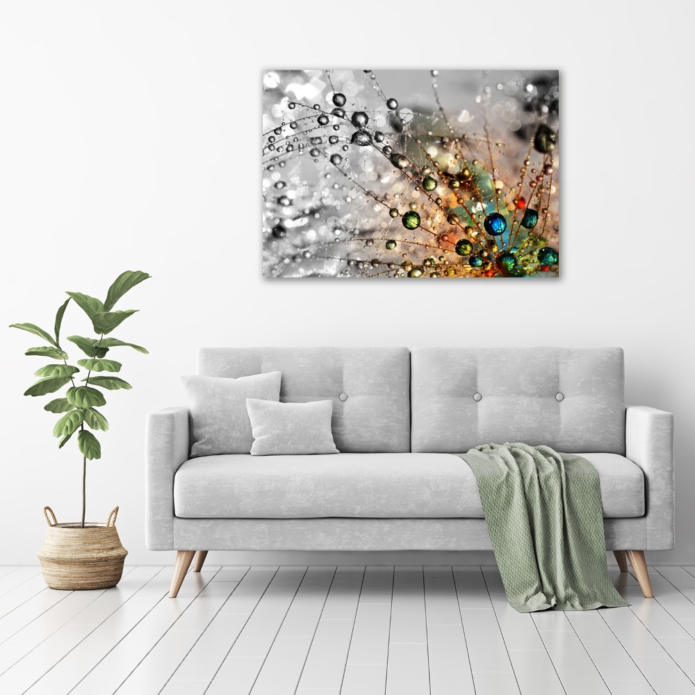 Canvas wall art Dandelion seeds