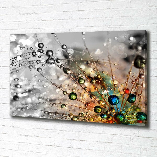 Canvas wall art Dandelion seeds