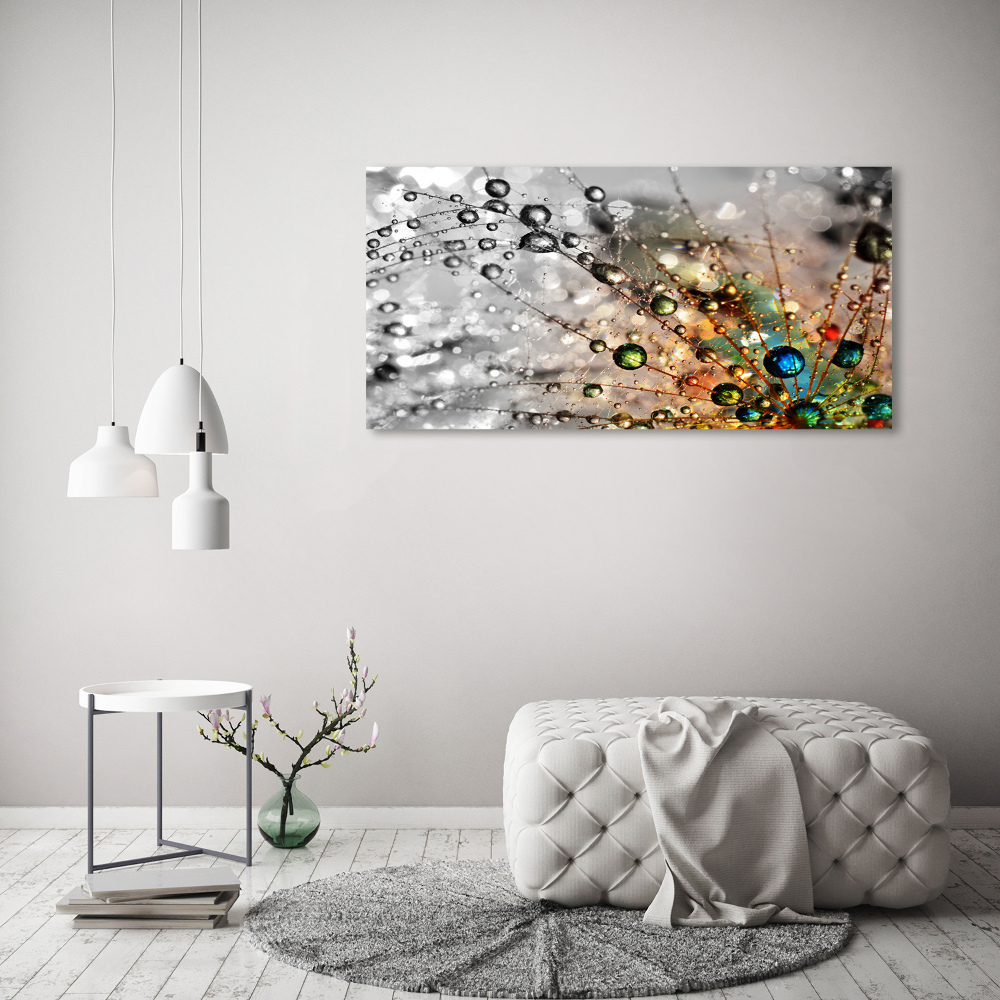 Canvas wall art Dandelion seeds