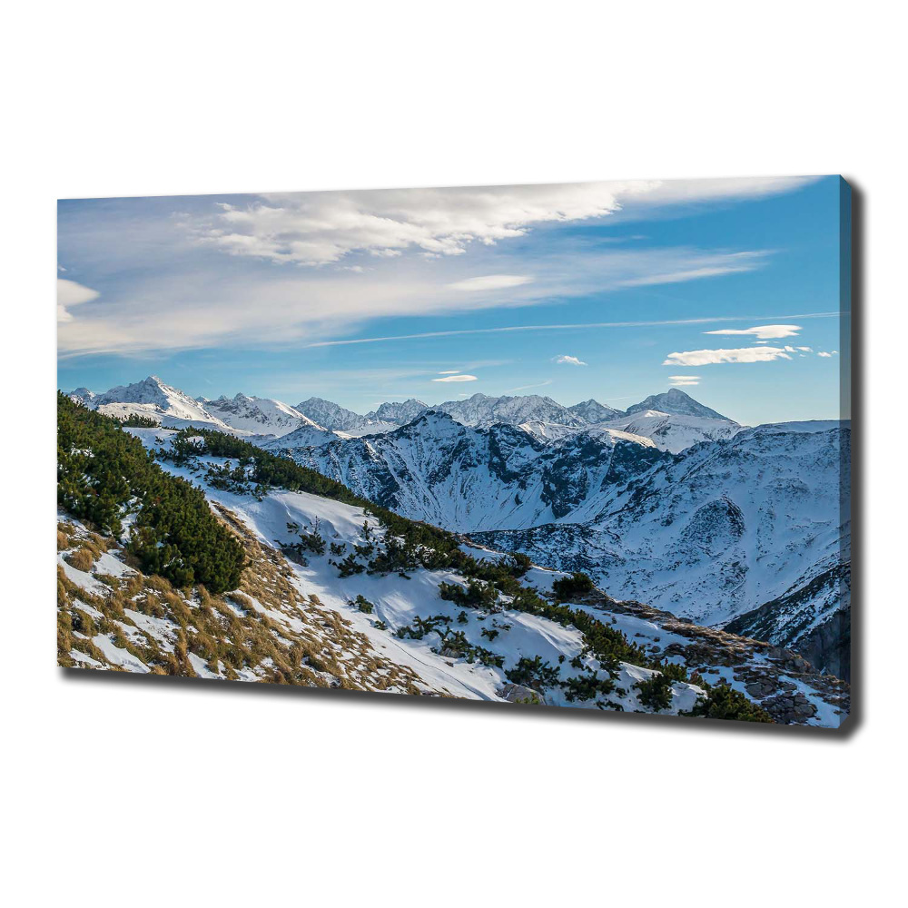 Canvas wall art Crown of the Tatra Mountains