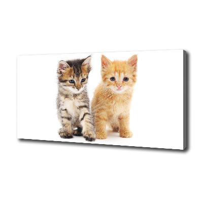 Canvas wall art Brown and red cat