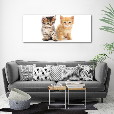 Canvas wall art Brown and red cat