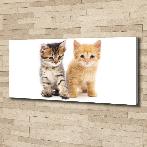 Canvas wall art Brown and red cat