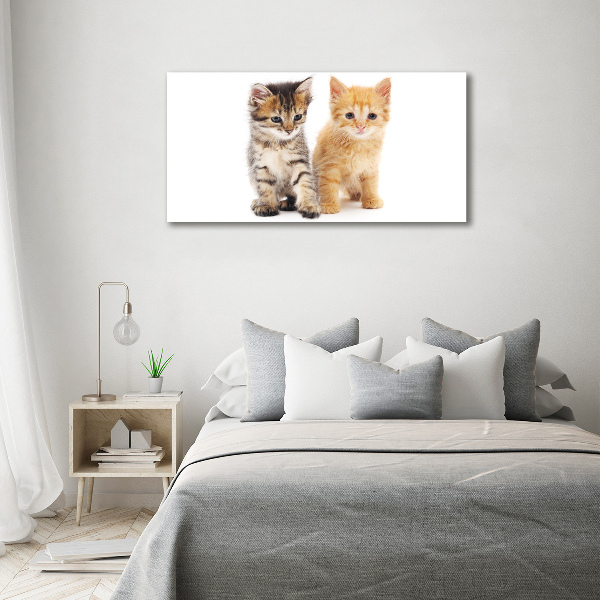 Canvas wall art Brown and red cat