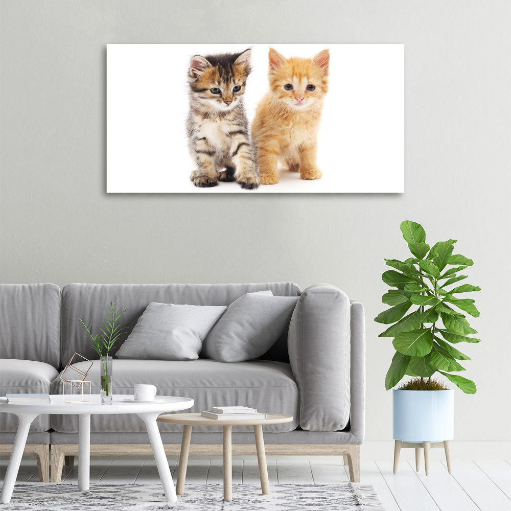 Canvas wall art Brown and red cat