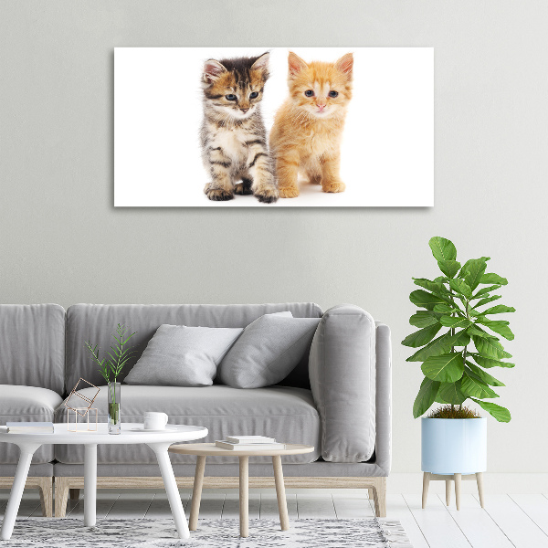 Canvas wall art Brown and red cat