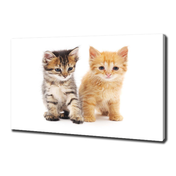 Canvas wall art Brown and red cat