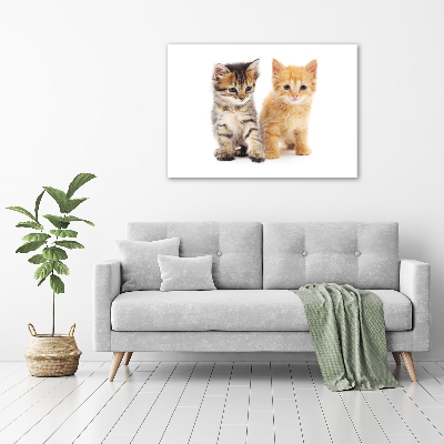 Canvas wall art Brown and red cat