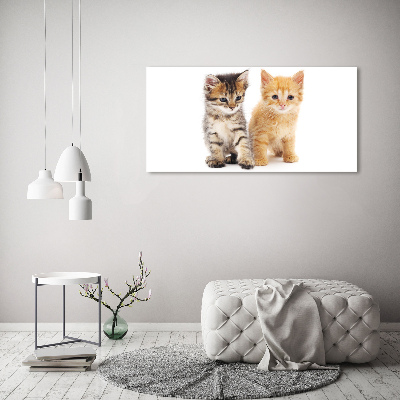 Canvas wall art Brown and red cat