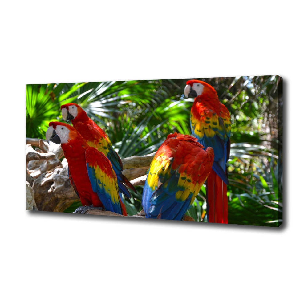 Large canvas wall art Ary parrots