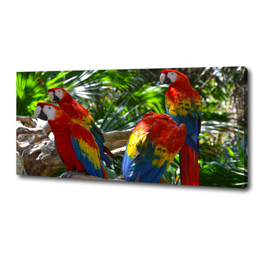 Large canvas wall art Ary parrots