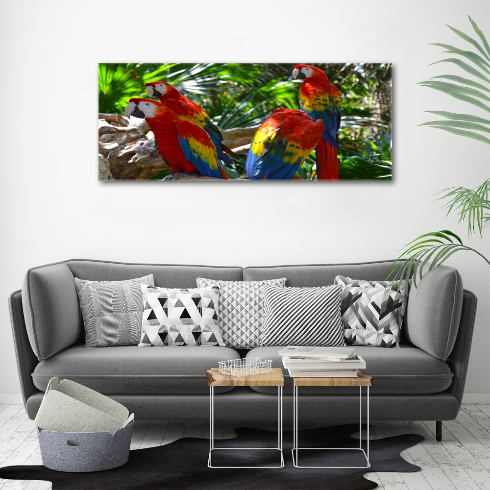 Large canvas wall art Ary parrots