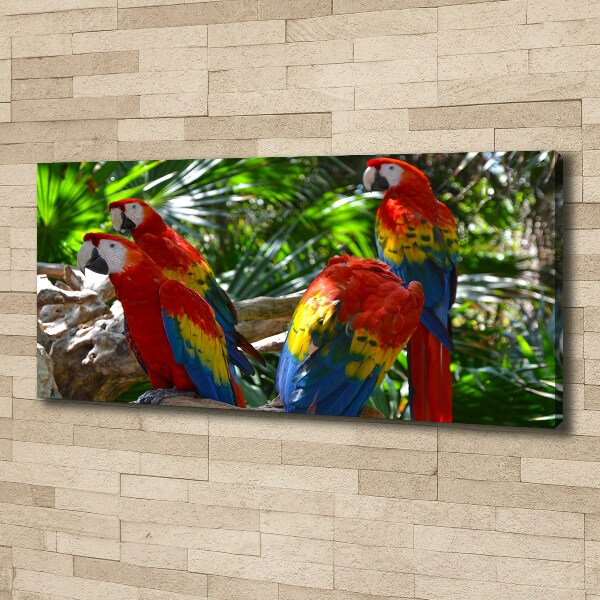 Large canvas wall art Ary parrots