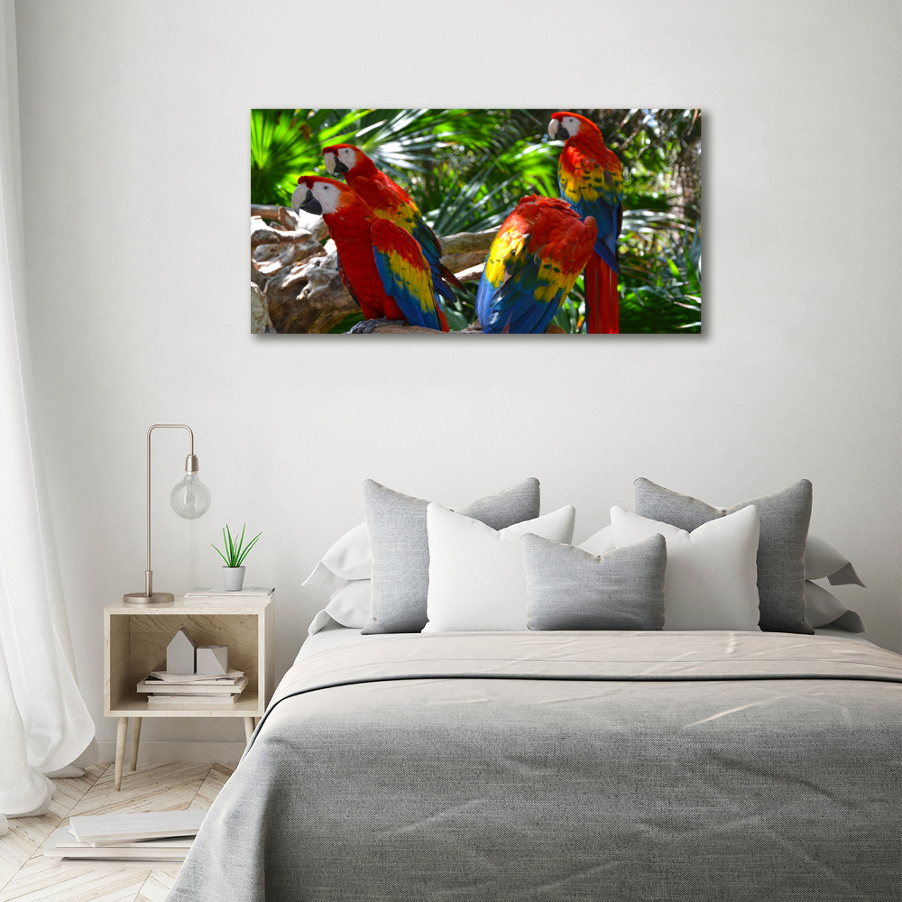 Large canvas wall art Ary parrots