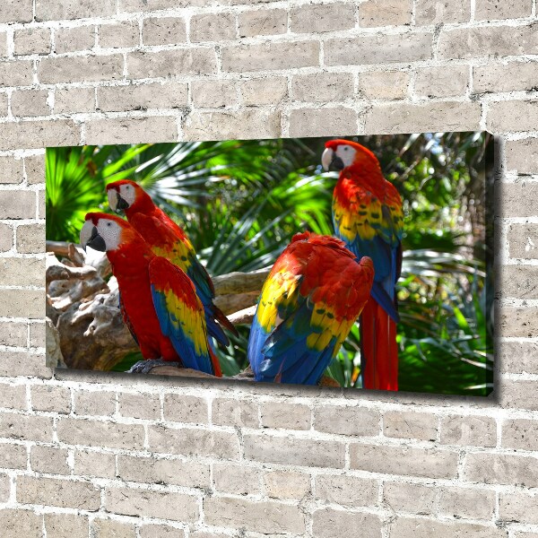 Large canvas wall art Ary parrots