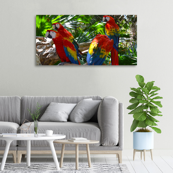 Large canvas wall art Ary parrots