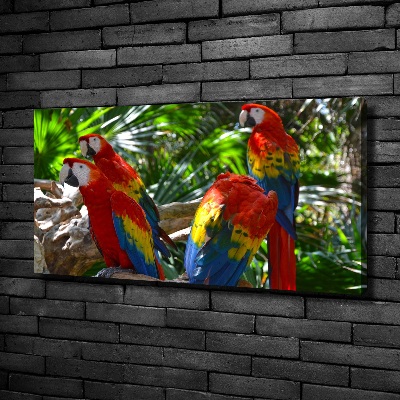 Large canvas wall art Ary parrots