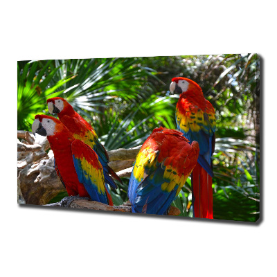 Large canvas wall art Ary parrots